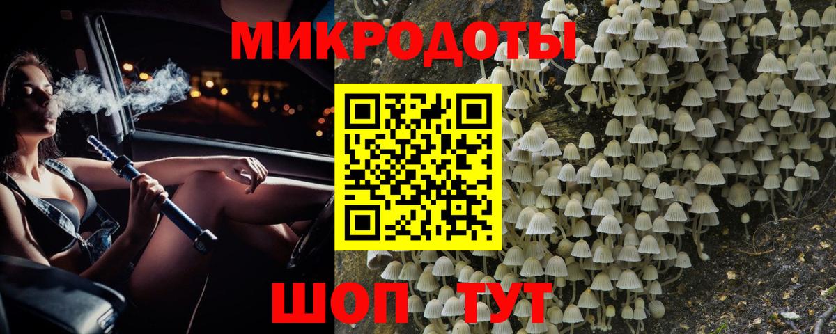 Галлюциногенные грибы MAGIC MUSHROOMS  Вход с VPN  Саров  Галлюциногенные грибы мухоморы 
